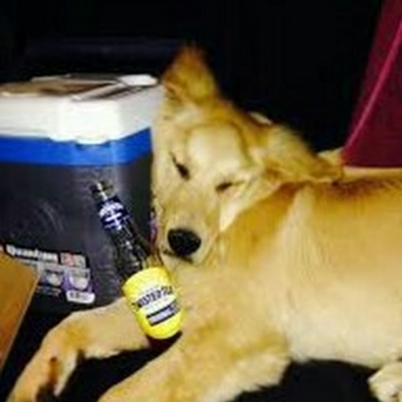 Meet your Posher, Rain on your parade - Picture 1 of 1